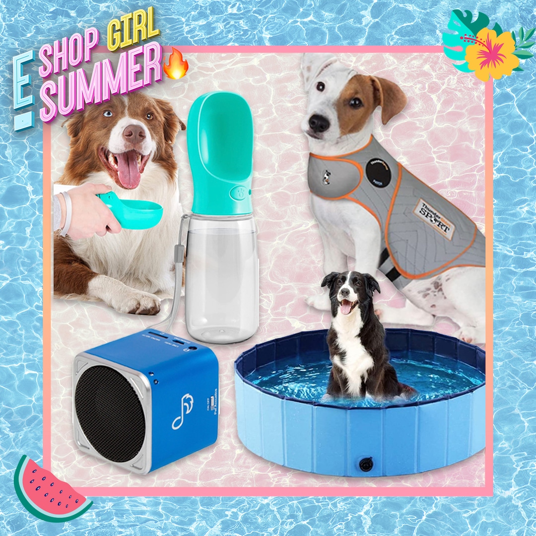 15 Products to Keep Your Pets Safe & Cool This Summer